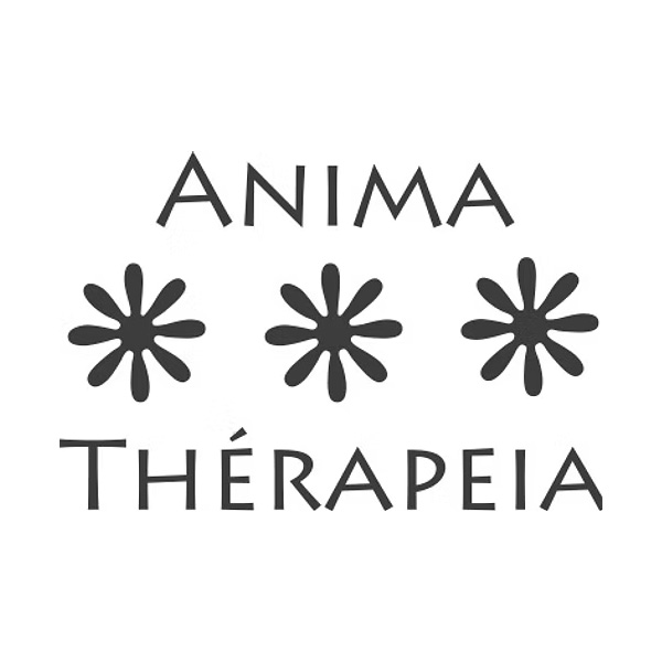 Soins par l’apithérapie & phytothérapie